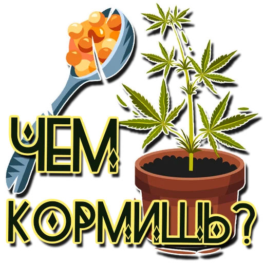 flowerpot houseplant flower