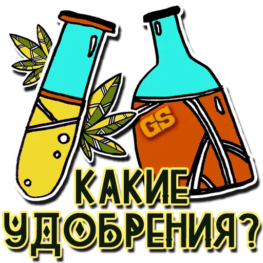 bottle clipart illustration