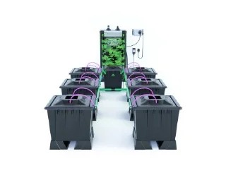 Sticker growshop 2024 - 10