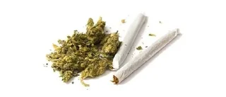 Sticker growshop 2024 - 9