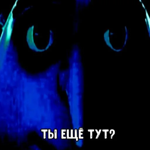 кошка животное млекопитающее