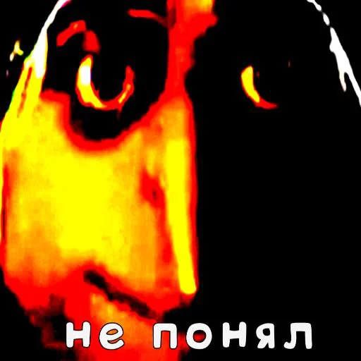 graphic design graphics text