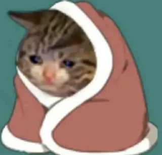 Sticker Грустные котики @kotiki_sticks - 7