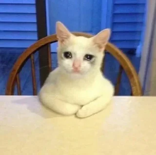 Sticker Грустные котики @kotiki_sticks - 3