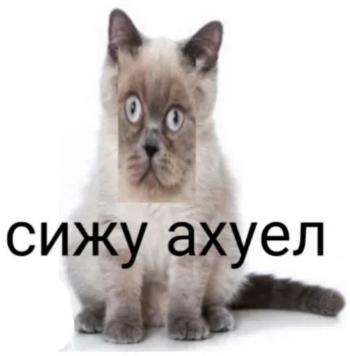 Sticker GsCZdRunujbPyrjQ_by_stickers_stealer_bot - 1