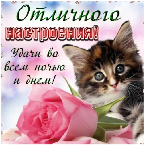 Sticker GsCZdRunujbPyrjQ_by_stickers_stealer_bot - 1