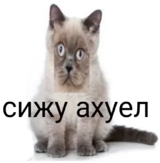 Sticker Больше стикеров 👉🏻 @stickertg4 - 9