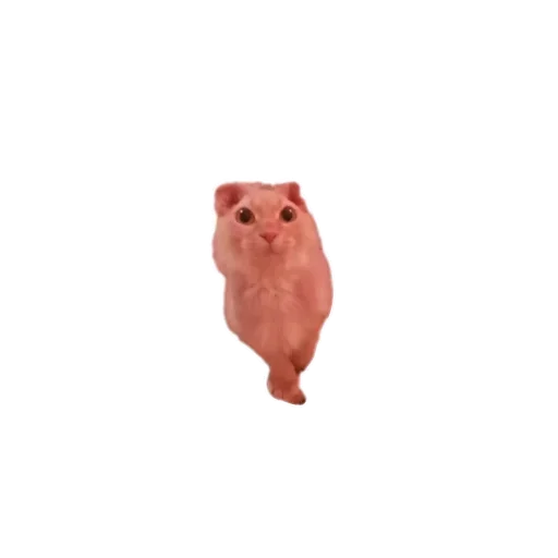 Стикер Gsp219 - 1