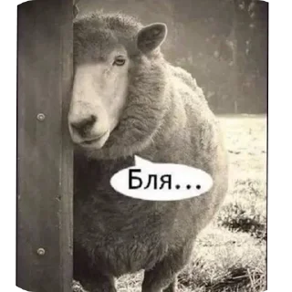 Стикер 👍🏻 - 2