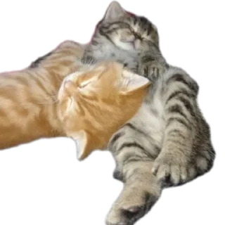 Стикер 👍🏻 - 9