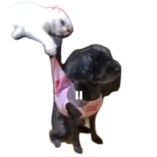 Стикер 👍🏻 - 7