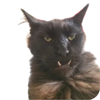 Стикер 👍🏻 - 5