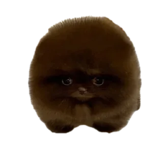 Стикер 👍🏻 - 10