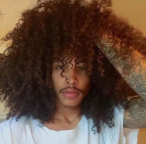 шиньон Человек одежда