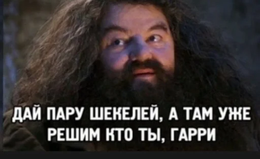 человеческое лицо человеческая борода СМС