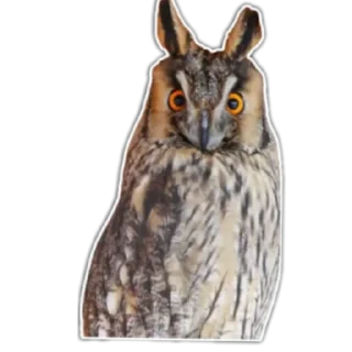 Стикер Губерния - 3