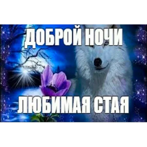 Sticker konskaya za lips - 4