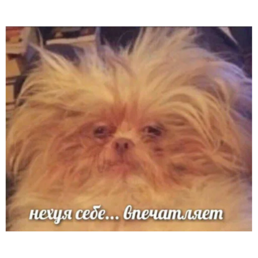 Sticker Gukvxdyip - 1