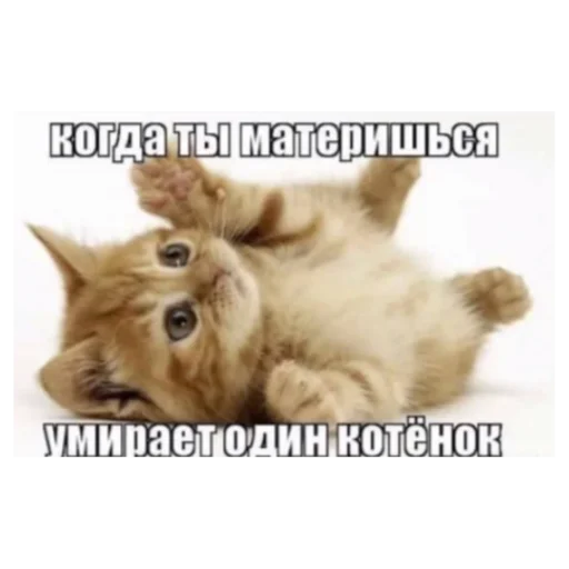 Стикер Gukvxdyip - 1