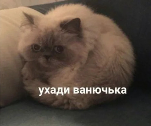 Sticker Gukvxdyip - 1