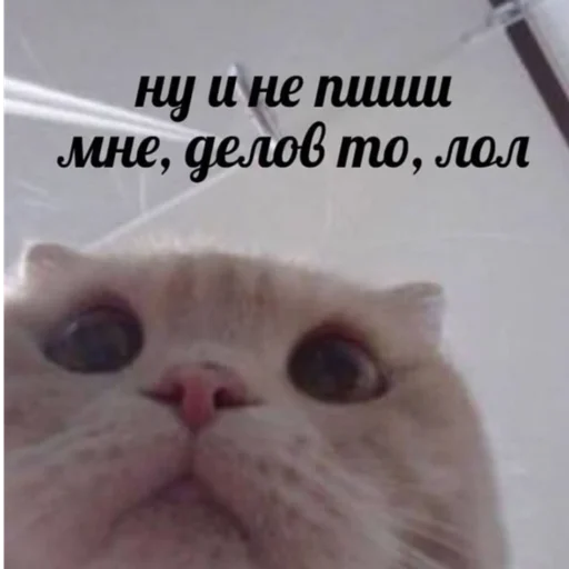 Sticker Gukvxdyip - 1