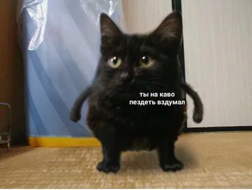 Sticker Gukvxdyip - 1