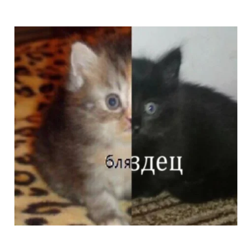 Sticker Gukvxdyip - 1