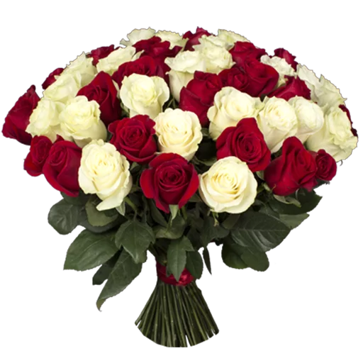 цветок растение лепесток