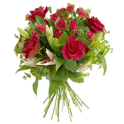 flower plant floristry