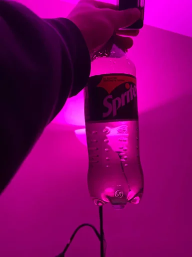 Sticker GurOsPale - 1