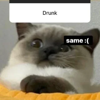 Sticker Ariana Grunde THE HIGHEST - 9