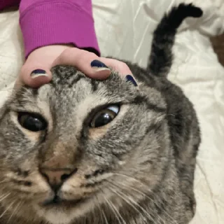 Sticker Ariana Grunde THE HIGHEST - 10