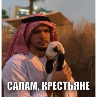 Стикер Гусь Пернатый - 3