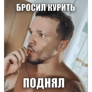 Стикер Гусь Пернатый - 4