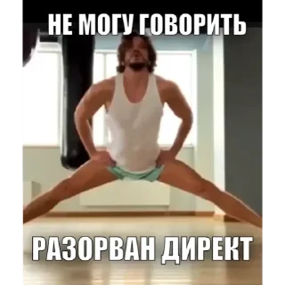 Стикер Гусь Пернатый - 0