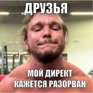 Стикер Гусь Пернатый - 5