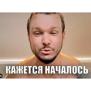 Стикер Гусь Пернатый - 10