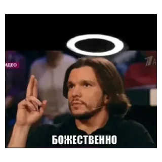 Стикер Гусь Пернатый - 2