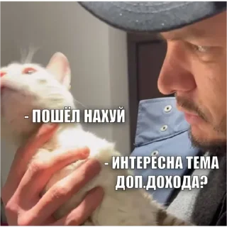 Стикер Гусь Пернатый - 8