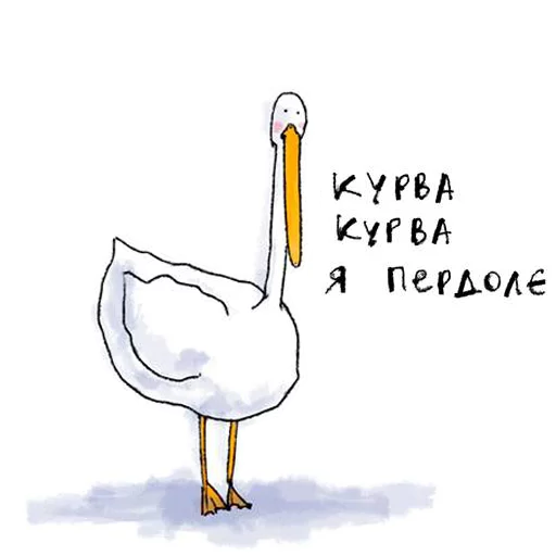 aquatic bird animal bird