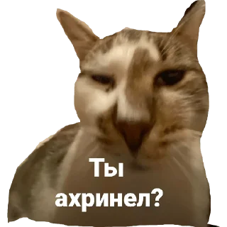 Стикер Гувмен - 4