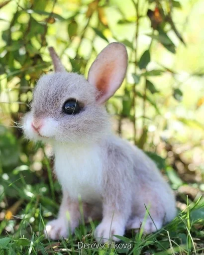 млекопитающее животное трава