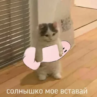 Sticker Больше стикеров 👉🏻 @stickertg4 - 9