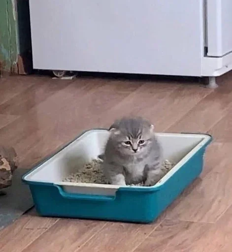 Sticker GwkoUmj_by_achestickbot - 1