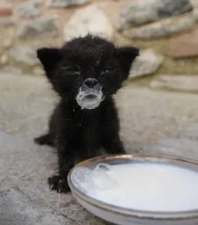 Sticker Больше стиков тут: @stikery4 - 10