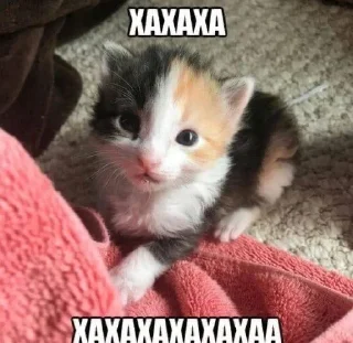 Sticker Больше стиков тут: @stikery4 - 6