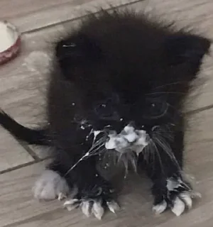 Sticker Больше стиков тут: @stikery4 - 3