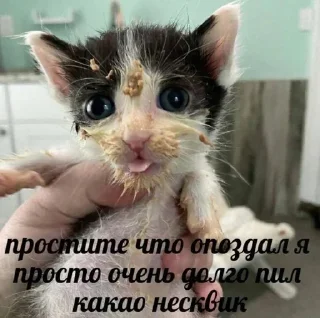 Sticker Больше стиков тут: @stikery4 - 5