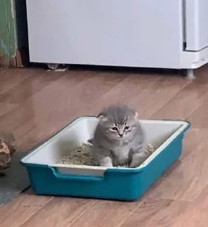 Sticker Больше стиков тут: @stikery4 - 1