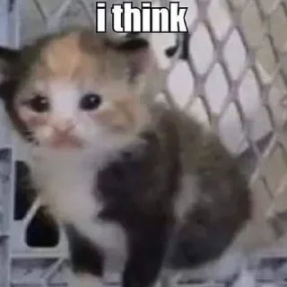 Sticker Больше стиков тут: @stikery4 - 7